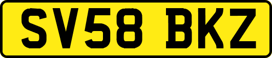 SV58BKZ
