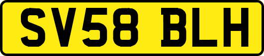 SV58BLH