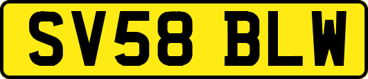 SV58BLW
