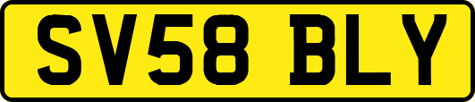 SV58BLY