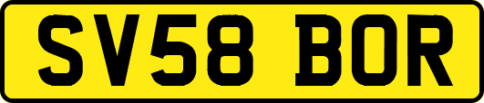 SV58BOR