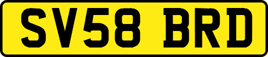 SV58BRD