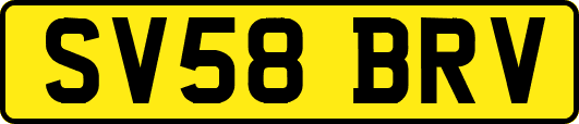 SV58BRV