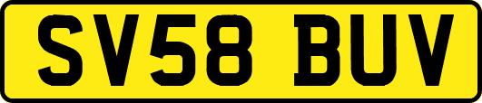 SV58BUV