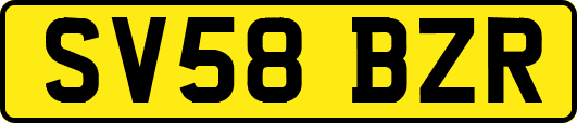 SV58BZR