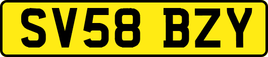 SV58BZY