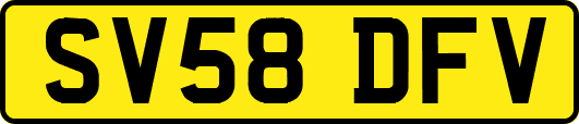 SV58DFV