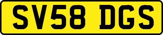 SV58DGS