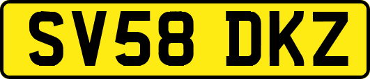 SV58DKZ