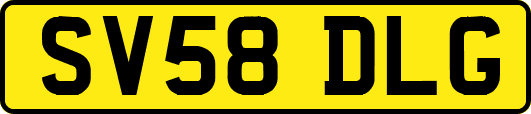 SV58DLG