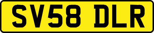 SV58DLR