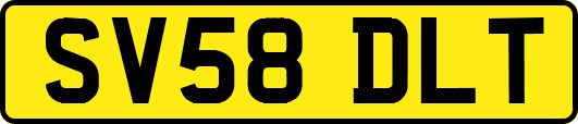 SV58DLT