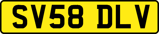 SV58DLV