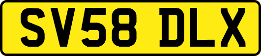 SV58DLX