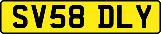 SV58DLY