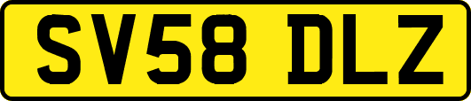SV58DLZ