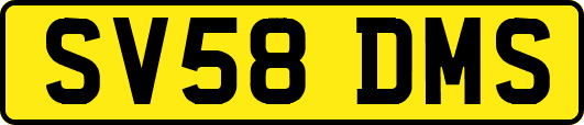 SV58DMS
