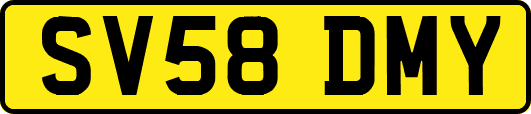 SV58DMY