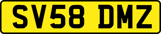 SV58DMZ