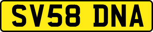 SV58DNA