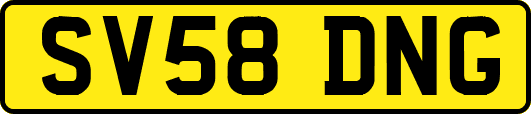 SV58DNG