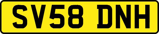 SV58DNH