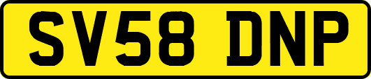 SV58DNP
