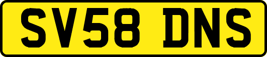 SV58DNS