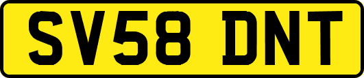 SV58DNT