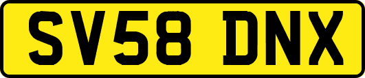 SV58DNX