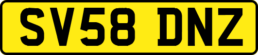 SV58DNZ