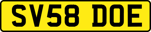 SV58DOE
