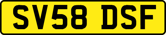 SV58DSF