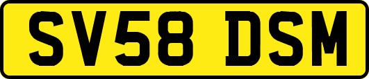 SV58DSM