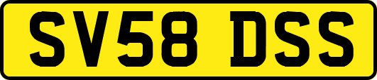 SV58DSS
