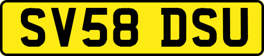 SV58DSU