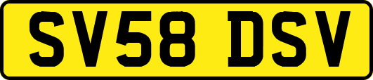 SV58DSV
