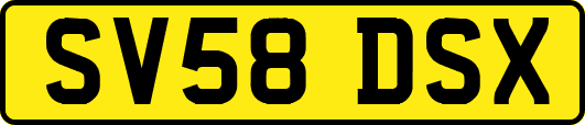 SV58DSX