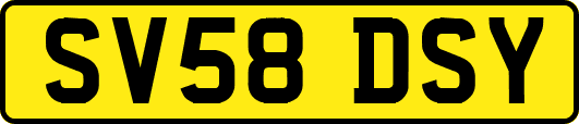 SV58DSY