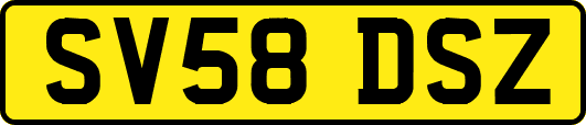 SV58DSZ