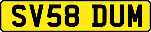 SV58DUM
