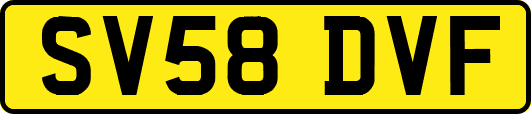 SV58DVF