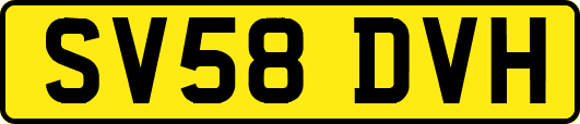 SV58DVH