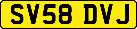 SV58DVJ