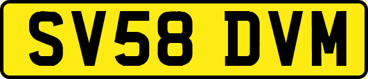 SV58DVM