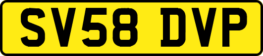 SV58DVP