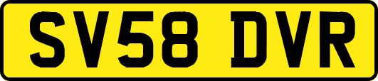 SV58DVR