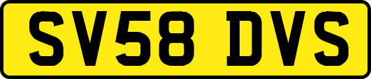 SV58DVS