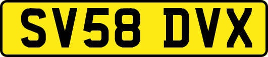 SV58DVX