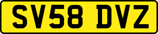SV58DVZ